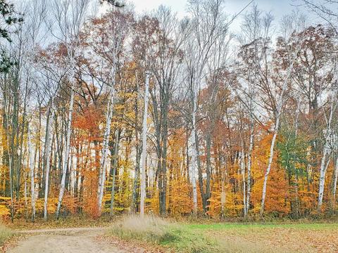 1477 Clinton Ln, White Cloud, MI 49349 photo 34