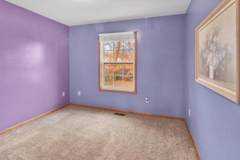 11500 Belding Rd NE, Belding, MI 48809 photo 14