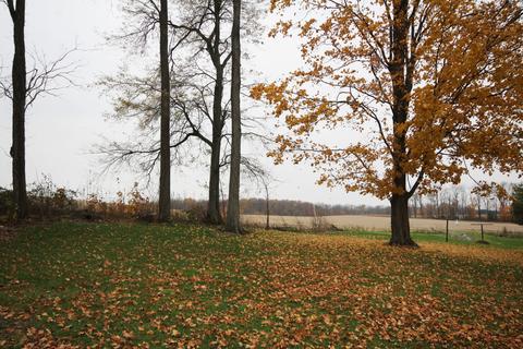 14586 East V Ave, Fulton, MI 49052 photo 19