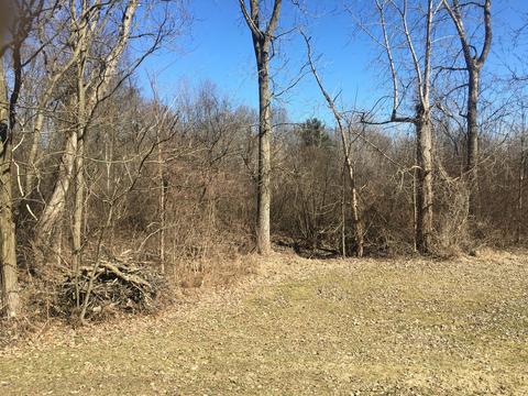 5750 W B Ave, Plainwell, MI 49080 photo 18