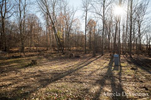 8300 Mcbrides Rd, Edmore, MI 48829 photo 6