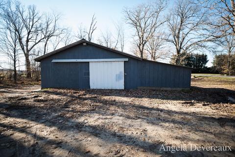 8300 Mcbrides Rd, Edmore, MI 48829 photo 5