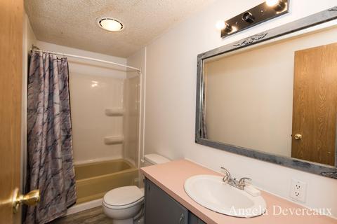 8300 Mcbrides Rd, Edmore, MI 48829 photo 20
