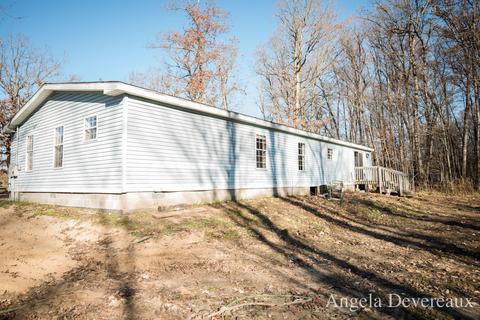 8300 Mcbrides Rd, Edmore, MI 48829 photo 3