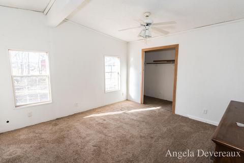8300 Mcbrides Rd, Edmore, MI 48829 photo 33