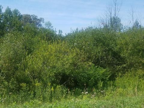 Lot 15 Marlene Road, Rothbury, MI 49452