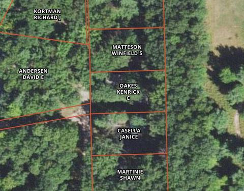 4638 N Able Rd, Irons, MI 49644 photo 3