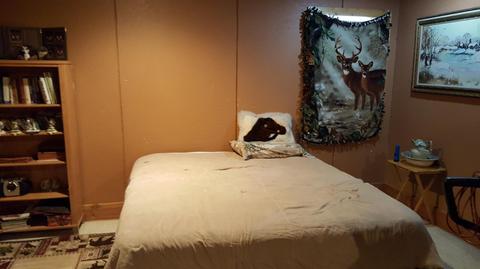 7003 E A Rd, Branch, MI 49402 photo 40
