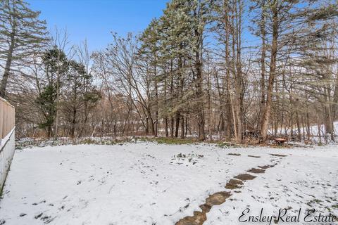 505 E Day St, Stanton, MI 48888 photo 31