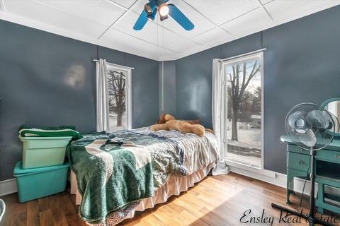 505 E Day St, Stanton, MI 48888 photo 23