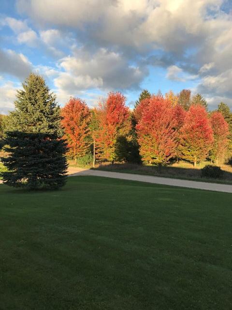 3113 S Tuttle Rd, Custer, MI 49405 photo 6