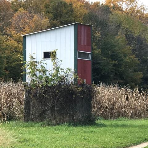 3113 S Tuttle Rd, Custer, MI 49405 photo 8