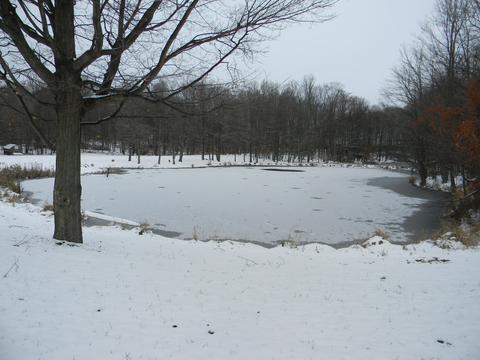 3113 S Tuttle Rd, Custer, MI 49405 photo 35