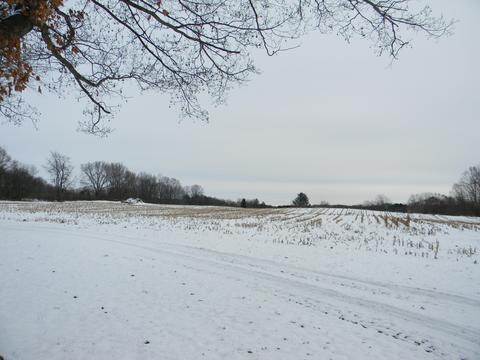 3113 S Tuttle Rd, Custer, MI 49405 photo 36