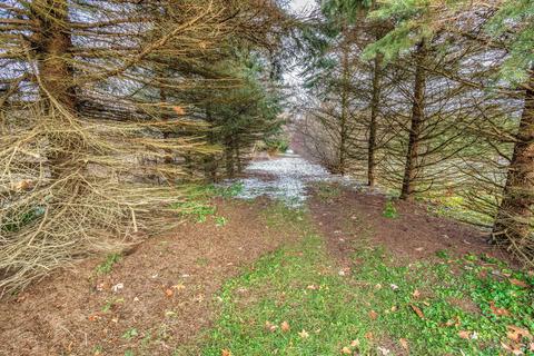 7100 E Sterling Rd, Jerome, MI 49249 photo 27