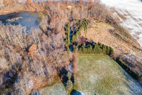 7100 E Sterling Rd, Jerome, MI 49249 photo 18