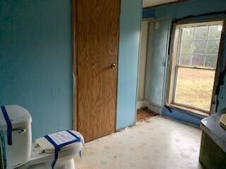 520 N Ferris Ave, White Cloud, MI 49349 photo 21