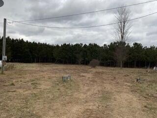 520 N Ferris Ave, White Cloud, MI 49349 photo 4
