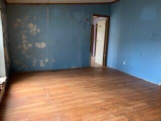 520 N Ferris Ave, White Cloud, MI 49349 photo 19