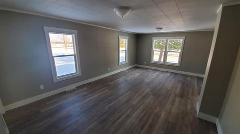 173 N North St, White Cloud, MI 49349 photo 10