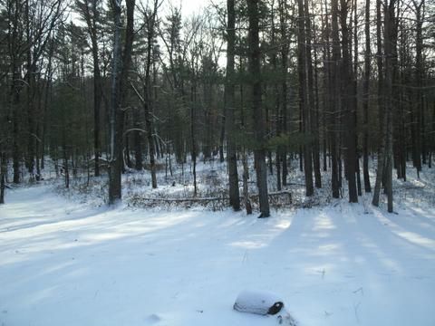 7308 E 76th St, Newaygo, MI 49337 photo 46