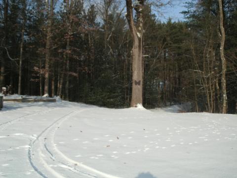 7308 E 76th St, Newaygo, MI 49337 photo 55