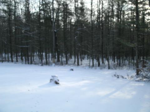 7308 E 76th St, Newaygo, MI 49337 photo 43