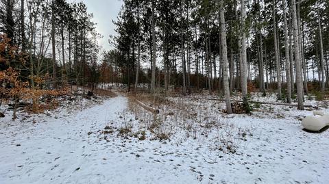 8850 E 10 12 Rd, Manton, MI 49663 photo 26