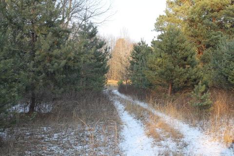 4695 Wheeler Rd, Deckerville, MI 48427 photo 5