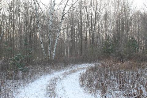 4695 Wheeler Rd, Deckerville, MI 48427 photo 8