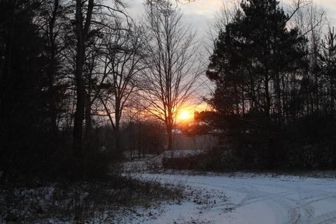 4695 Wheeler Rd, Deckerville, MI 48427 photo 1