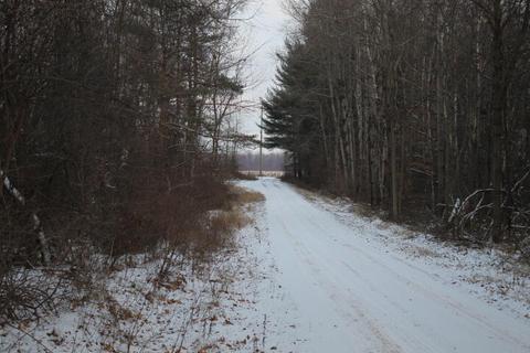 4695 Wheeler Rd, Deckerville, MI 48427 photo 3