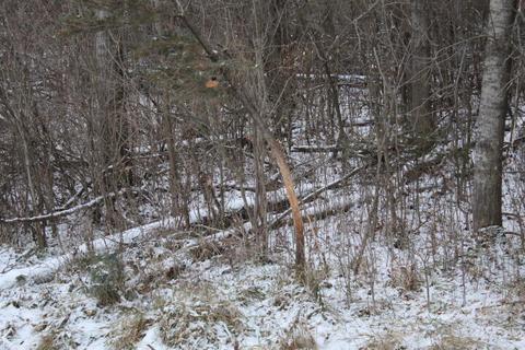 4695 Wheeler Rd, Deckerville, MI 48427 photo 4