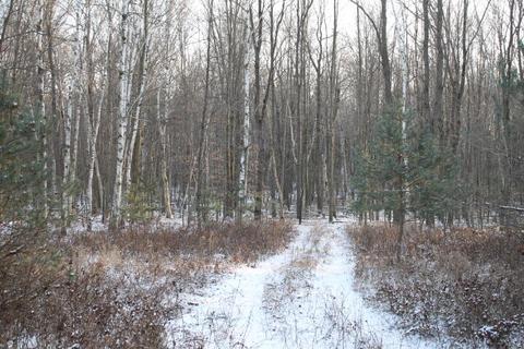 4695 Wheeler Rd, Deckerville, MI 48427 photo 6