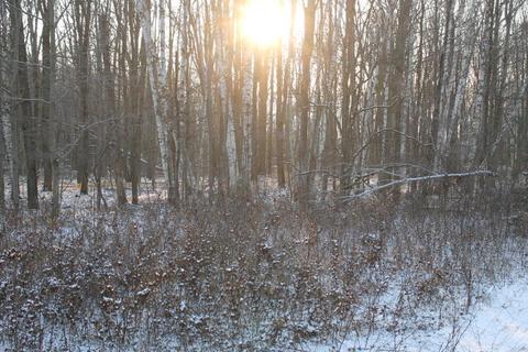 4695 Wheeler Rd, Deckerville, MI 48427 photo 7