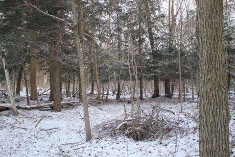 4695 Wheeler Rd, Deckerville, MI 48427 photo 12