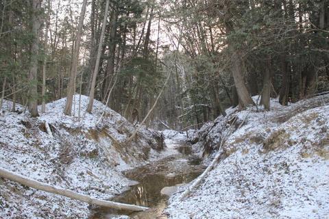 4695 Wheeler Rd, Deckerville, MI 48427 photo 9