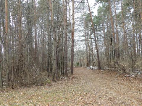 5451 Ridge Dr, Reading, MI 49274 photo 9