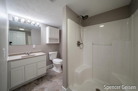 515 Alderman St, Belding, MI 48809 photo 31