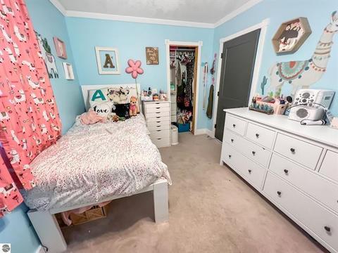 9185 S Old State Ave, Farwell, MI 48622 photo 19