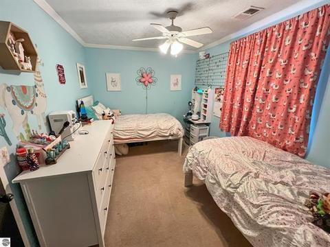 9185 S Old State Ave, Farwell, MI 48622 photo 18