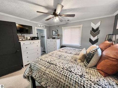 9185 S Old State Ave, Farwell, MI 48622 photo 15