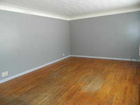 716 Swartz St, Three Rivers, MI 49093 photo 4