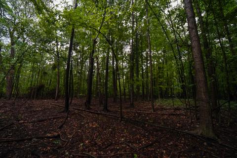 5017 Chickering Rd, Belding, MI 48809 photo 44
