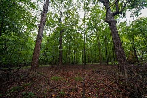 5017 Chickering Rd, Belding, MI 48809 photo 47