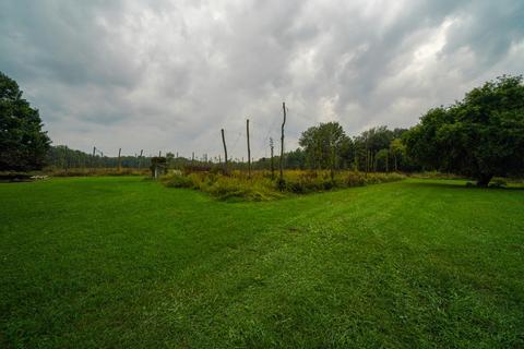5017 Chickering Rd, Belding, MI 48809 photo 35