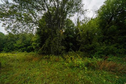 5017 Chickering Rd, Belding, MI 48809 photo 43