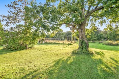 5017 Chickering Rd, Belding, MI 48809 photo 24