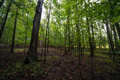 5017 Chickering Rd, Belding, MI 48809 photo 50
