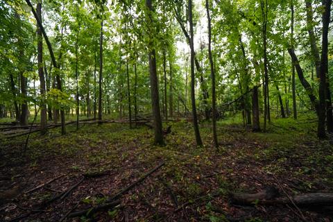5017 Chickering Rd, Belding, MI 48809 photo 49
